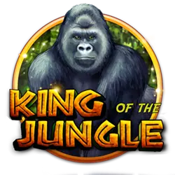 355bet kbk bet cassino H5